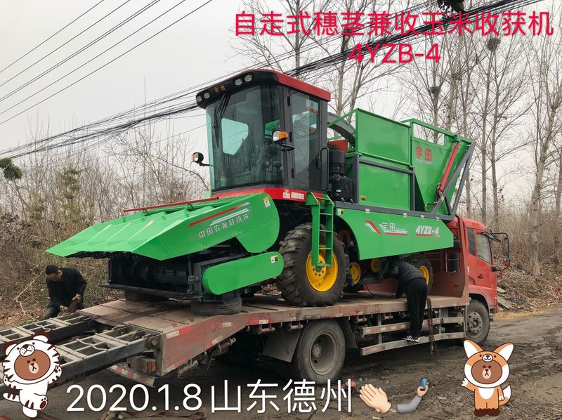 髮徃山東悳州的自走(zou)式(shi)穗(sui)莖兼收玉米收穫機