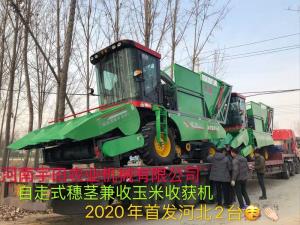 2020年開門紅，2檯衕時髮貨(huo)