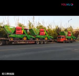 山東(dong)五車連髮視頻